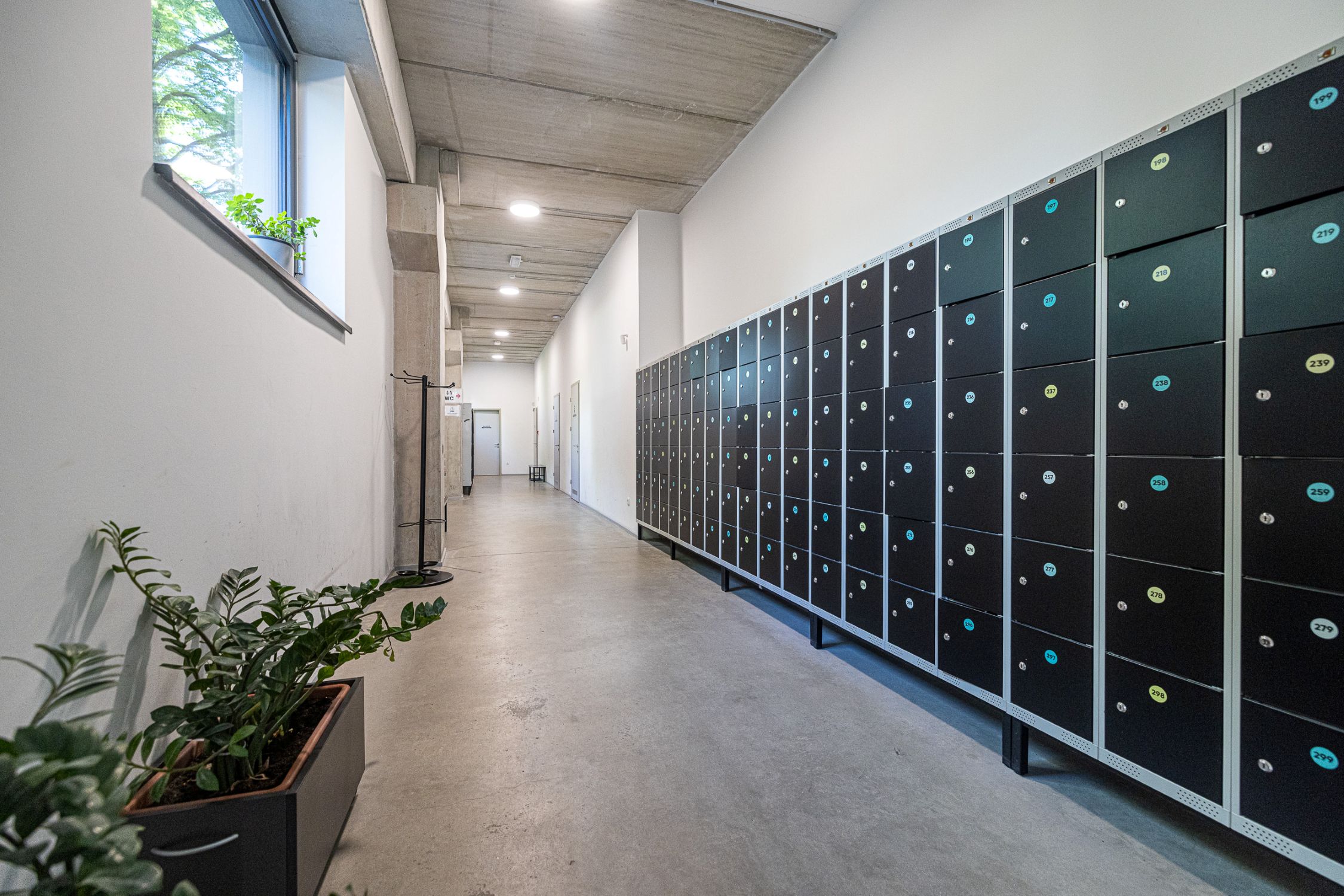 mojcka_mala_resolucija_065